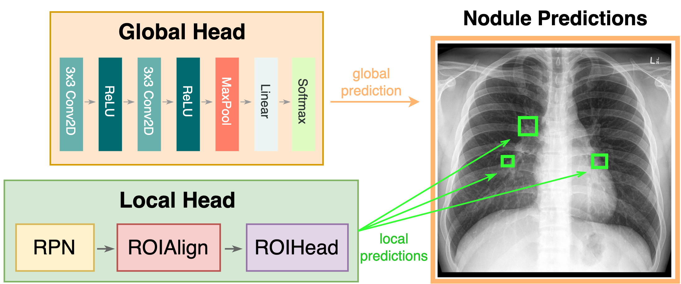 Thumbnail for dual‑head network paper